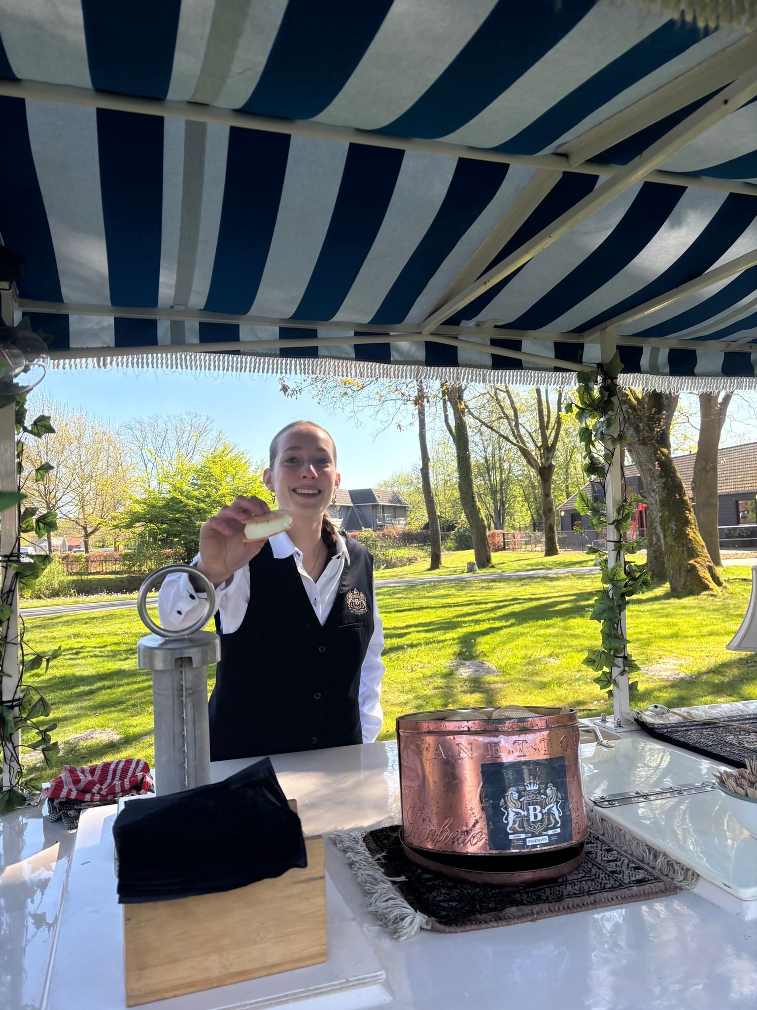 Vrouw serveert steekijs bij buitenkraam in park